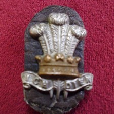 PRINCE OF WALES LEINSTER REGIMENT BI-METAL COLLAR BADGE
