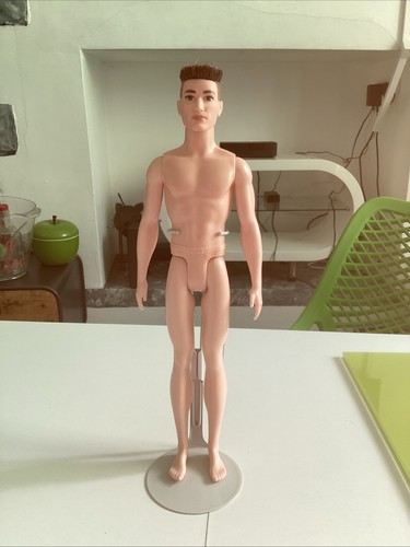 Hybrid ken trimmed hair - hybrid,