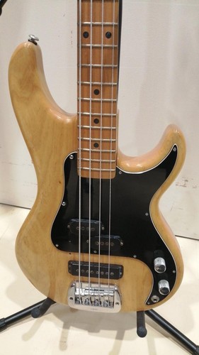Usa 2 electric bass - g&l, sb-2