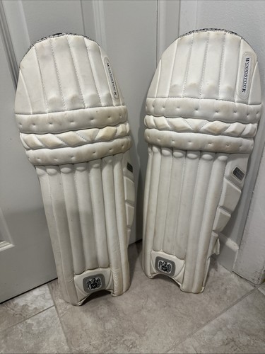 Woodstock platinum cricket - woodstock,