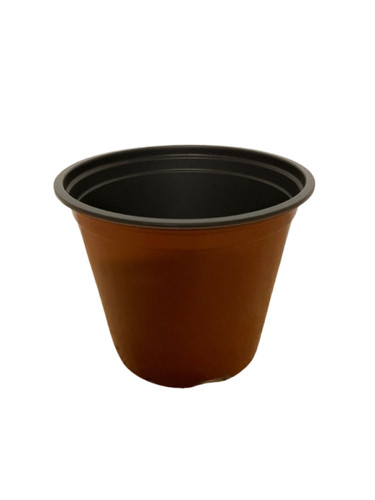 Litre 14 cm plant - 50,