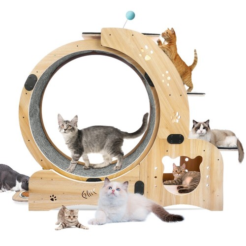 Cat exercise wheel - 6,