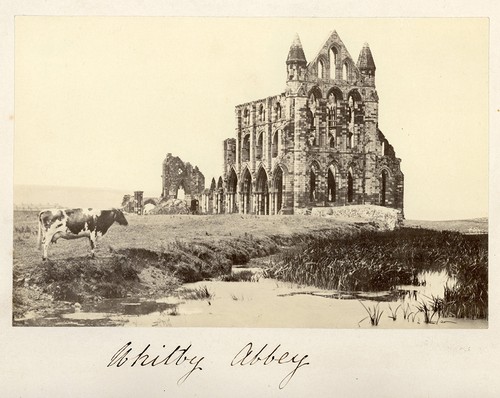 Photographs whitby - photographs, 2