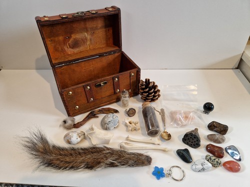 Oddity curiosity chest - curiosity,