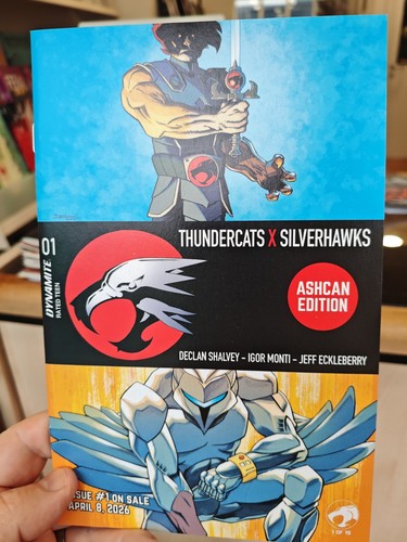 Thundercats silverhawks - x,