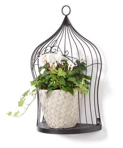 Birdcage plant holder metal - holder,