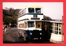 Birmingham Bus Photo - WMPTE 3190 - 1954 Crossley Daimler CVG6 - Dudley Bus Stn