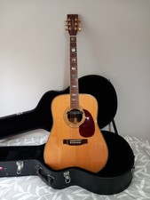 Tanglewood earth 1000 - tanglewood,