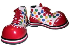 Professional Clown Shoes