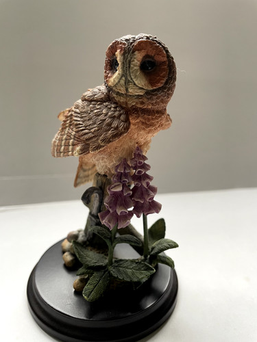 Tawny owl 03031 country - tawny, owl,