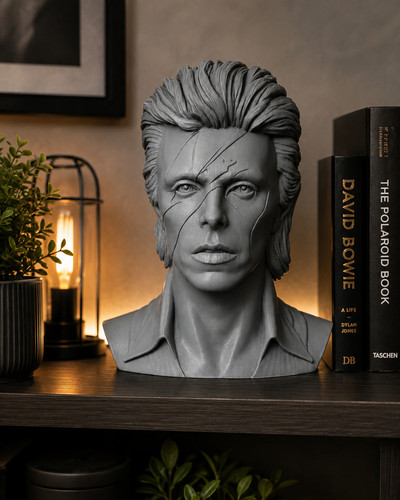 David bowie singer actor - david,
