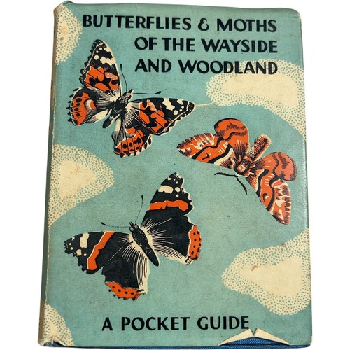 Butterflies moths of - butterflies, the