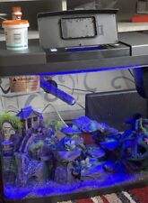 Aquarium fish tank with hide outs