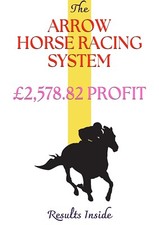 HORSE RACING SYSTEM