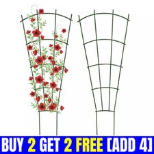 UK Climbing Plants Trellis