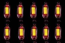 10 x Mains Neon Bulb Indicator