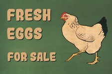 Fresh Eggs For Sale Vintage