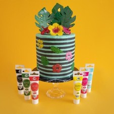 Food Colouring Cake progel