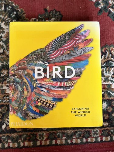 Bird exploring the - bird:,