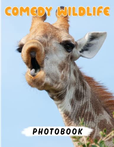 Comedy wildlife photography - wildlife,