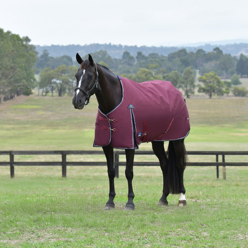 Weatherbeeta horse comfitec - weatherbeeta,