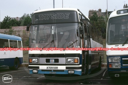 Coach photo tayside - photo,