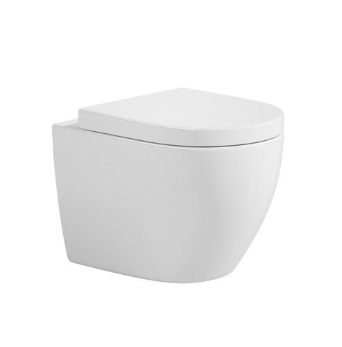 Rimless wall mounted - wall, toilet