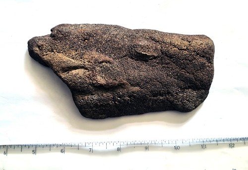 Large dinosaur bone femur - uk,