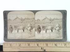 Lerdal Folks Coming Home