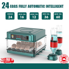 Incubators for Hatching Eggs