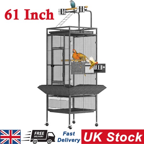 Inch height large - 61,