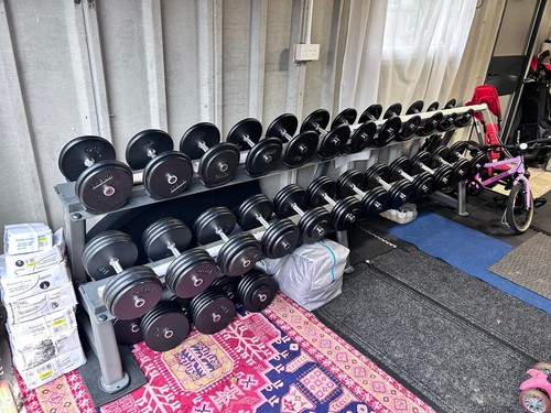 Pro style dumbbells weight set - pro-style,