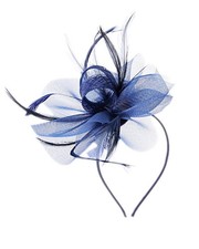 Looped Feather Headband & Clip