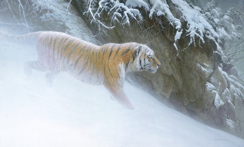 Robert bateman momentum - bateman,