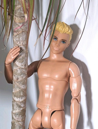Made move ken doll fully - to,