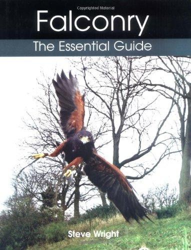 Falconry the essential guide - falconry:,