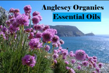 Organic,Wild Grown & Premium Essential Oils,Extracts & Absolutes