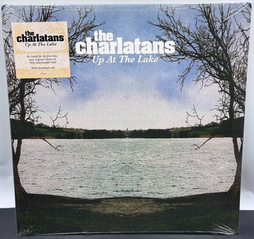 The charlatans at - the,