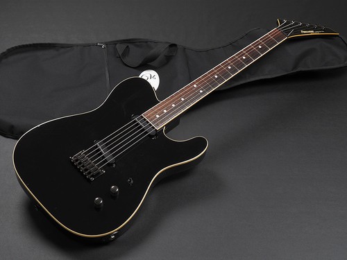 Fernandes tej electric - fernandes,