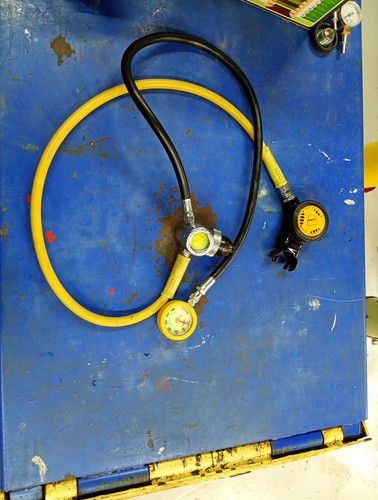 Apeks pony reg with egress - egress, +