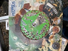 2 no Pegasus Vortex Dimond