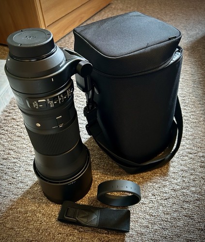 Sigma 150 600mm contemporary - sigma, 150-600mm