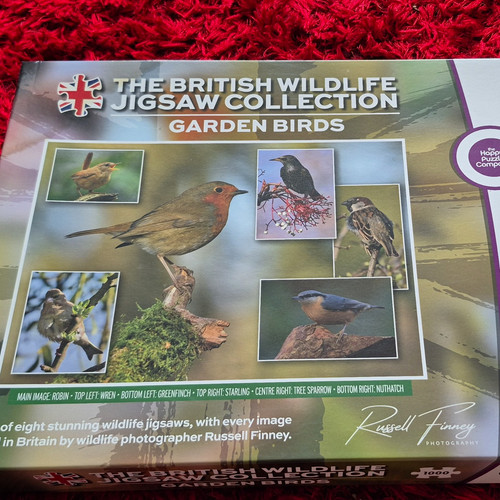 Garden birds 1000 - 1000, piece