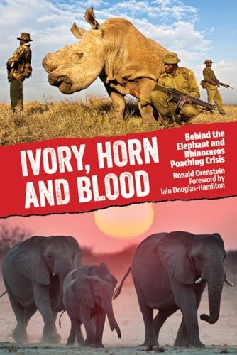 Ivory horn and - horn, behind