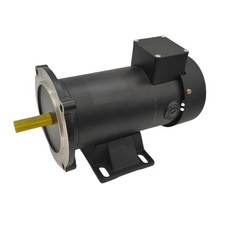 ZYT DC MOTOR 3/4 HP 90V 24V