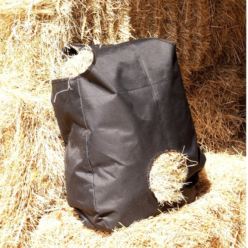 Horse pony hay - horse,