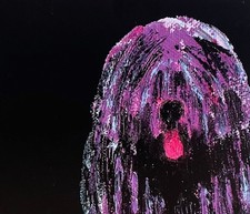 Puli Hungarian Dog Greeting