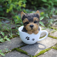 Yorkshire Terrier Puppy Teacup