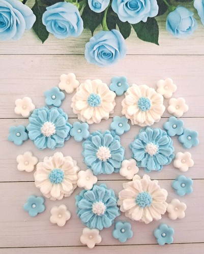 Blue white edible - (08),