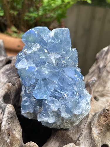 Celestite open cluster geode - open,
